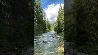 Alone in Ticha Valley, Slovakia ⛰😍 #hiking #tatras #slovakia #tatry #river #nature #mountians