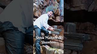 Hara Hara Shamboo || Siva Mahadeva #haraharamahadev #shiva #lordshiva #youtubeshorts #shorts #viral