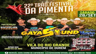 GAYA SOUND FESTIVAL DA PIMENTA VILA DO RIO GRANDE EM OURÉM - DJ RICARDO