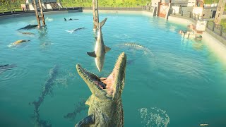 MOSASAURUS & TYLOSAURUS FEEDING SHOW SCENE | Jurassic World Evolution 2