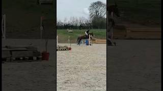 ~ Derby cross du 16/04/23 avec Usitouille ~ sans faute dans là club 2