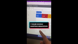 7 Figure Google Shopping Ads Breakdown #googleshoppingads