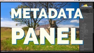 The Metadata Panel