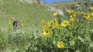 2017-06-13 Pipestone Canyon And Rim Trails Loop near Winthrop