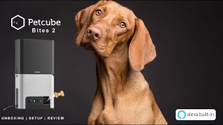 Petcube Bites 2 Pet Camera with Treat Dispenser Latest Technology World 2021