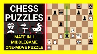 Chess Puzzles to Practice. Themes: Mate in 1, Middlegame, One-move puzzle. Learn Chess