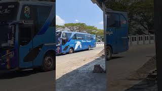 Bus Putra Remaja menuju Sumatera bus gambar burung camar #basuri #trukoleng