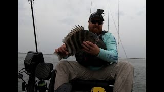 South Jersey Sheepshead Fishing