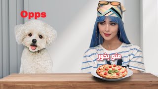 سگمو با پیتزا تو اتاق تنها گذاشتم 🐶🍕