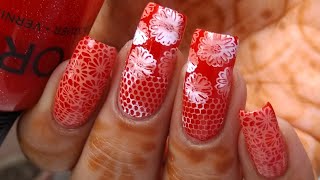 Classy Gradient Lace Nails!!! || Beautybigbang Stamping Plate Review