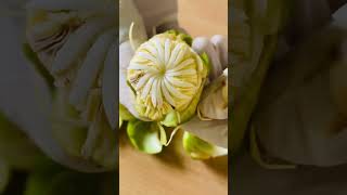 Buds of elephant apple #elephantapple #outenga #taigir #wildfruit #junglefruit #fruit #flower