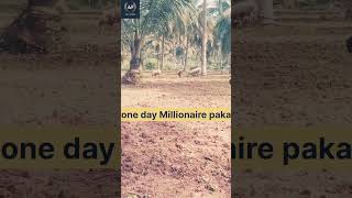 One day million year without miss #motivation #attitude #motivational #success #dontgiveup