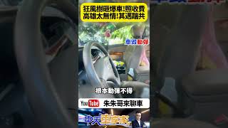 山陀兒颱風重創 高雄樹倒砸車 車被砸爛不能動 停車收費員竟然照樣開單 高雄市這麼無情嗎? 市長陳其邁能不能苦民所苦【#朱朱哥來聊車】 @中天車享家CtiCar  #抖音 #Shorts