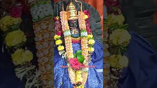 lakshmamma homam#god #shorts #laxmi Devi