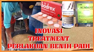 PERLAKUAN BENIH DENGAN BODREX