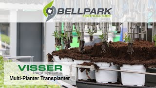 Visser Multi Planter Transplanter