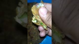 kaun kaun khaya hai cabbage ki roti #shots #trending #viral #cabbage