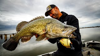 Murray Cod fishing Lake Mulwala on the drawdown