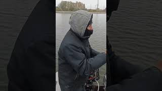 Сом 30+ кг на спиннинг до 25 г. Norstream Experience справился! #shorts #fishing #catfish #рыбалка