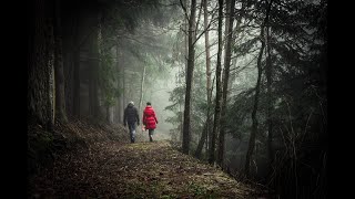 Nature by Henry Wadsworth Longfellow | Poetry Narration