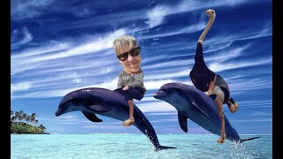 J28- Ostriches and the Dolphin