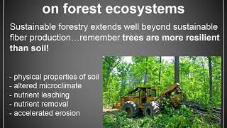 Lecture 7   Forest Ecosystem Ecology Part 2 Video