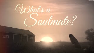 What's a Soulmate? | Dog Tribute