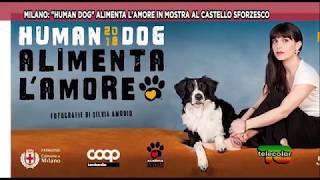 Human Dog in mostra al Castello Sforzesco