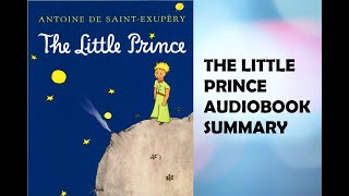 The Little Prince: Discovering Life's Hidden Wonders