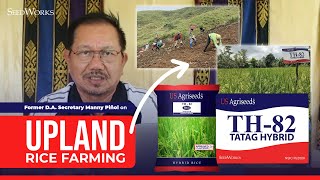 Former D.A. Secretary Manny Piñol on Upland Rice Farming using the TH-82 TATAG Hybrid of SeedWorks