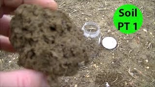 SOIL Pt1 How to Start & GROW Nutrient DENSE Fruits & Vegetables No Till Garden Method Series.