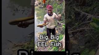 How to Catch EEL Fish in BD🇧🇩🇧🇩#eelfishing