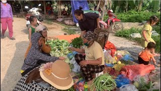 The Life of a 17-Year-Old Single Mother Picking Morning Glory | Ly thi ka