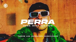 PERRA 🐩 | Reggaeton Feid Type Beat Instrumental 2022 | by Shot Records