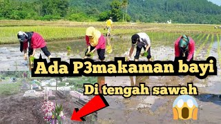 Ada P3makaman B4yi di Persawahan || Pedesaan Sunda