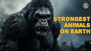 Top 10 Strongest Animals In The World