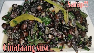 Ginataang suso / susong pilipit recipe / Filipino dish