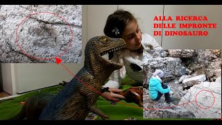 Alla ricerca delle IMPRONTE dei DINOSAURI Casera Casavento - Pordenone - Vlog 21