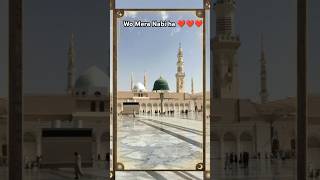 Wo Mera Nabi ha | new naat | heart touching naat | famous naat #islamicstatus #shorts #foryou #naat