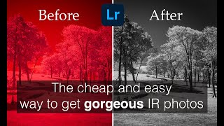 TUTORIAL: how to create stunning infrared photos in Lightroom in 15 minutes