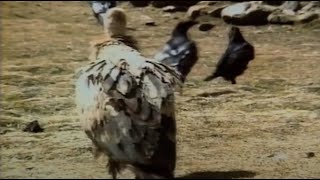 Buddhism And The "Sky Burial" Practice | Documentary Clip