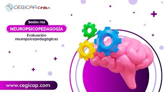 DIPLOMADO NEUROPSICOPEDAGOGÍA | SESIÓN #2 | Evaluación Neuropsicopedagógica