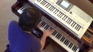 Leo Aberer - Giovanna - piano & keyboard synth cover by LIVE DJ FLO