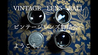 紳士的な3本の VINTAGE LENS を比較！逆光・虹色ゴーストが素敵です。|オールドレンズ