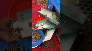 Arecanut Dehusking Machine by Smith - Dry Areca nut peeling machine