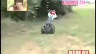 chimpanzee riding on a segway