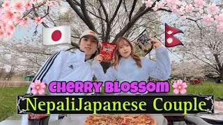 (NepaliJapanese Couple🇳🇵🇯🇵) It's time for CHERRY BLOSSOM🌸 SPRING in Japan SAKURA!! VLOG67