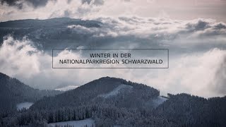 Winter im Nationalpark