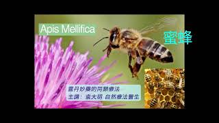 《靈丹妙藥的同類療法》- EP206 - 蜜蜂 Apis Mellifica