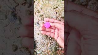 ❗Found Pink Cap In Treasure Hunting With Simplex Plus #goldtreasure #treasurehunting #nature #shorts